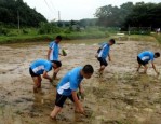 榆林市子洲县厌学特训学校，本篇为您专业总结！