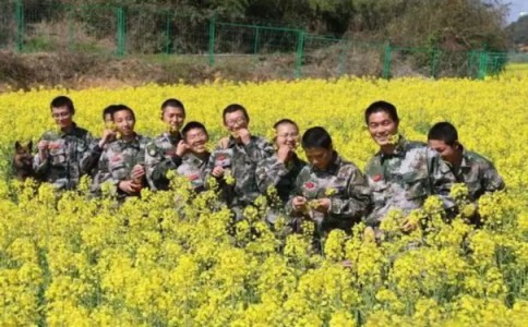 保定市安新县孩子叛逆期管教学校,本文为您逐一分享! 保定市安新县孩子叛逆期管教学校,本文为您逐一分享!