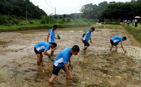 榆林市子洲县厌学特训学校,本篇为您专业总结! 榆林市子洲县厌学特训学校,本篇为您专业总结!